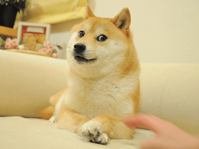 doge-zora “Doge” became the most expensive meme NFT ever when it sold to PleasrDAO for $4 million in June 2021. The token was minted on Zora (Source: Zora)